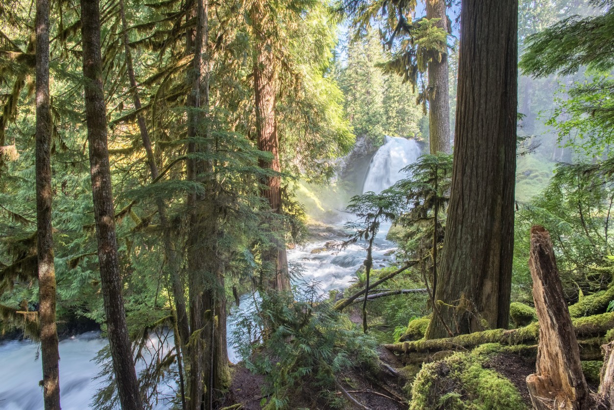 11 Amazing Waterfalls Near Bend, Oregon | Moving To Bend